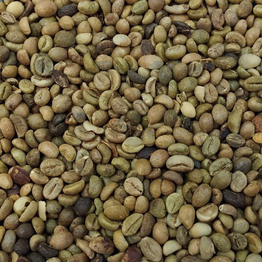 ROBUSTA COFFEE GRADE 2 SCR 13-5%