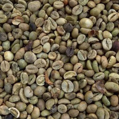 ROBUSTA COFFEE GRADE 1 SCR 16-2%